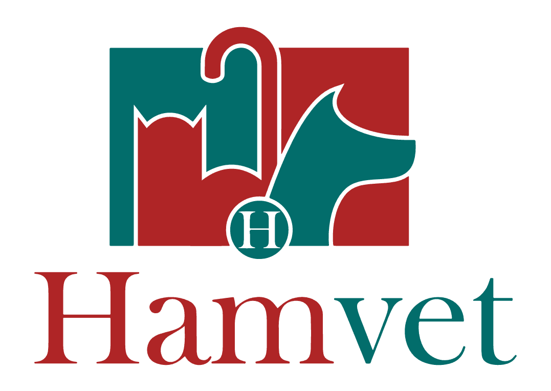 Logotipo Hamvet